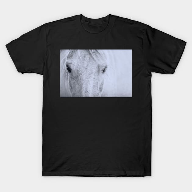 Horse Eyes T-Shirt by Hispaniola-Fineart